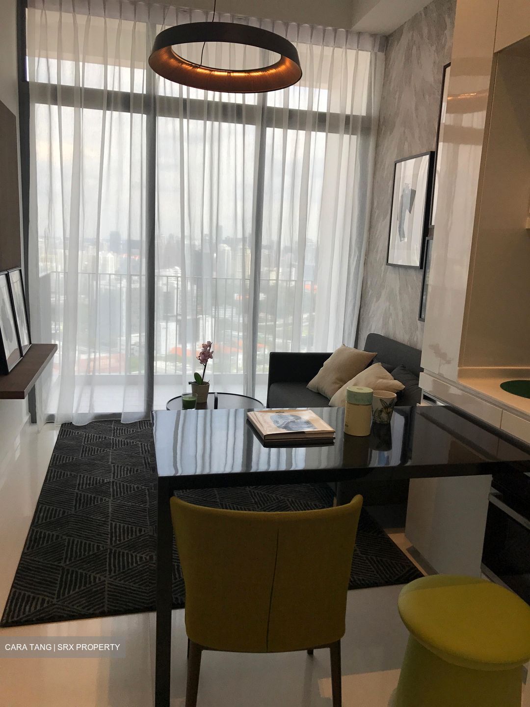 Spottiswoode Suites (D2), Apartment #544912681